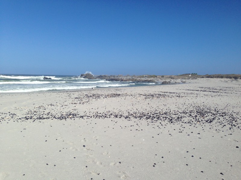 Cape Beaches